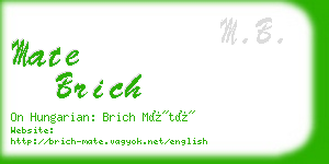 mate brich business card